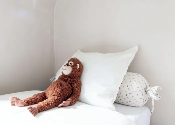 Bed End Breakfast Du Centre 3*